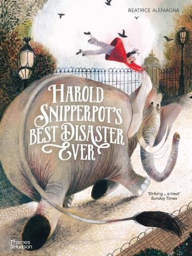 Harold Snipperpot's Best Disaster Ever By Béatrice Alemagna