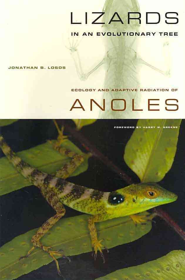 Lizards in an Evolutionary Tree By Jonathan B. Losos 9780520269842