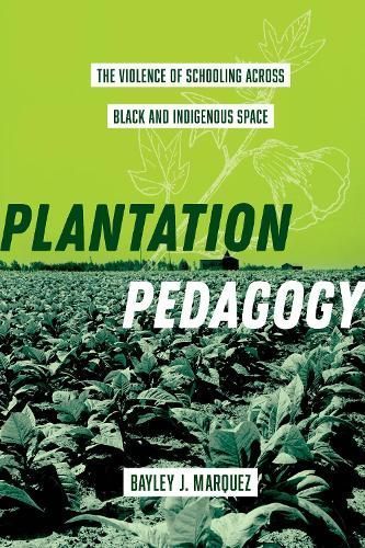 Plantation Pedagogy By Bayley J. Marquez 9780520393707 (Hardback)