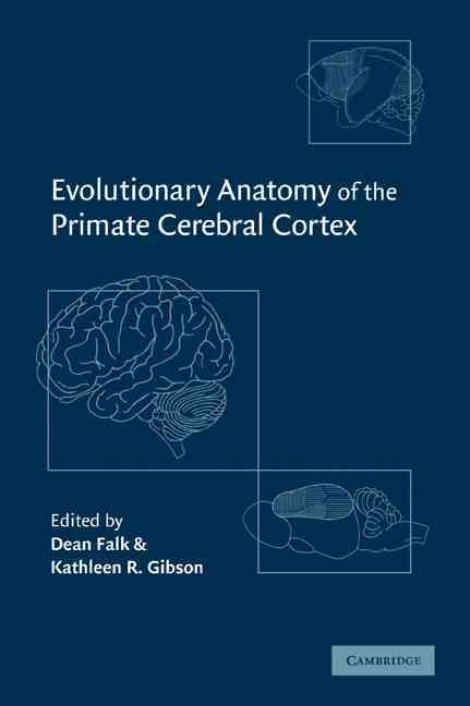 Evolutionary Anatomy of the Primate Cerebral Cortex 9780521089951