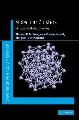 Molecular Clusters 9780521852364 (Hardback)