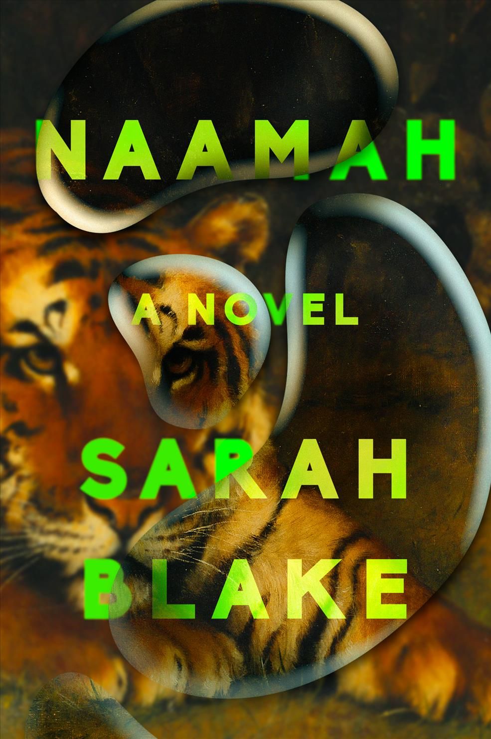 Naamah By Sarah Blake 9780525536338 (Hardback)
