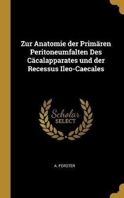 Zur Anatomie der Primären Peritoneumfalten Des Cäcalapparates und der Recessus Ileo-Caecales