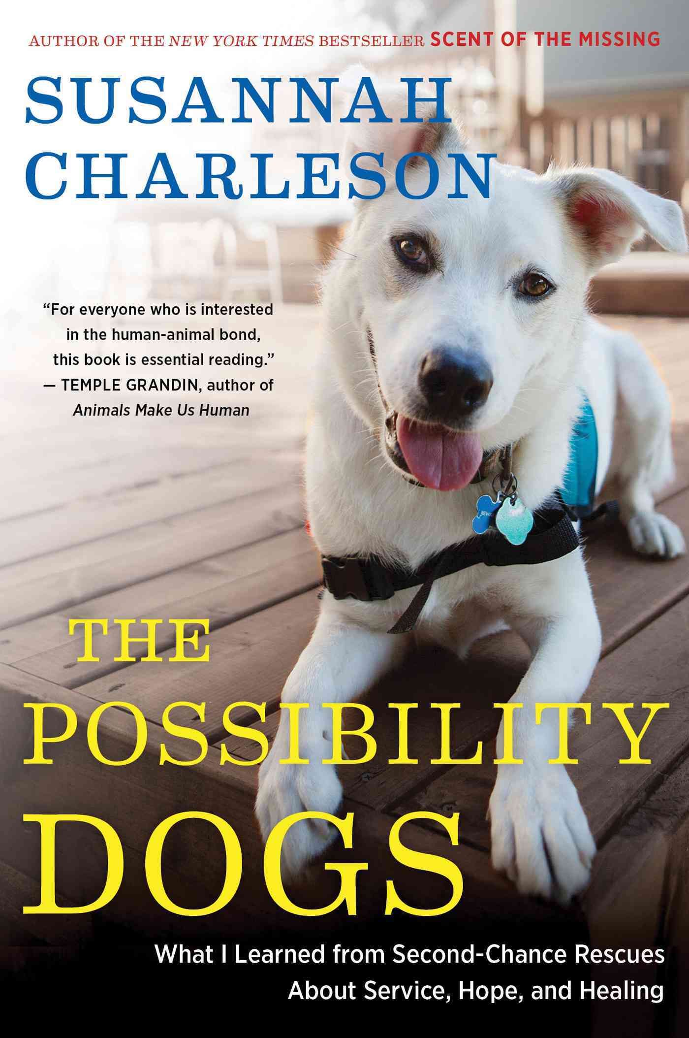 The Possibility Dogs By Susannah Charleson 9780544228023 (Paperback)