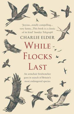 While Flocks Last By Charlie Elder 9780552157544 (Paperback)