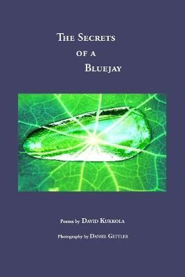 The Secrets of a Bluejay By David Kukkola 9780557100194 (Paperback)