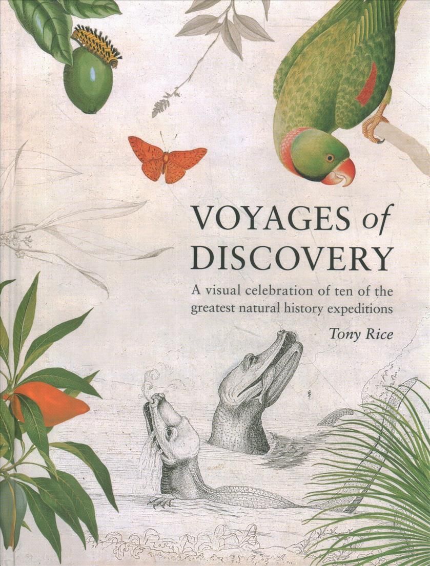 Voyages of Discovery By A. L. Rice 9780565094430 (Hardback)