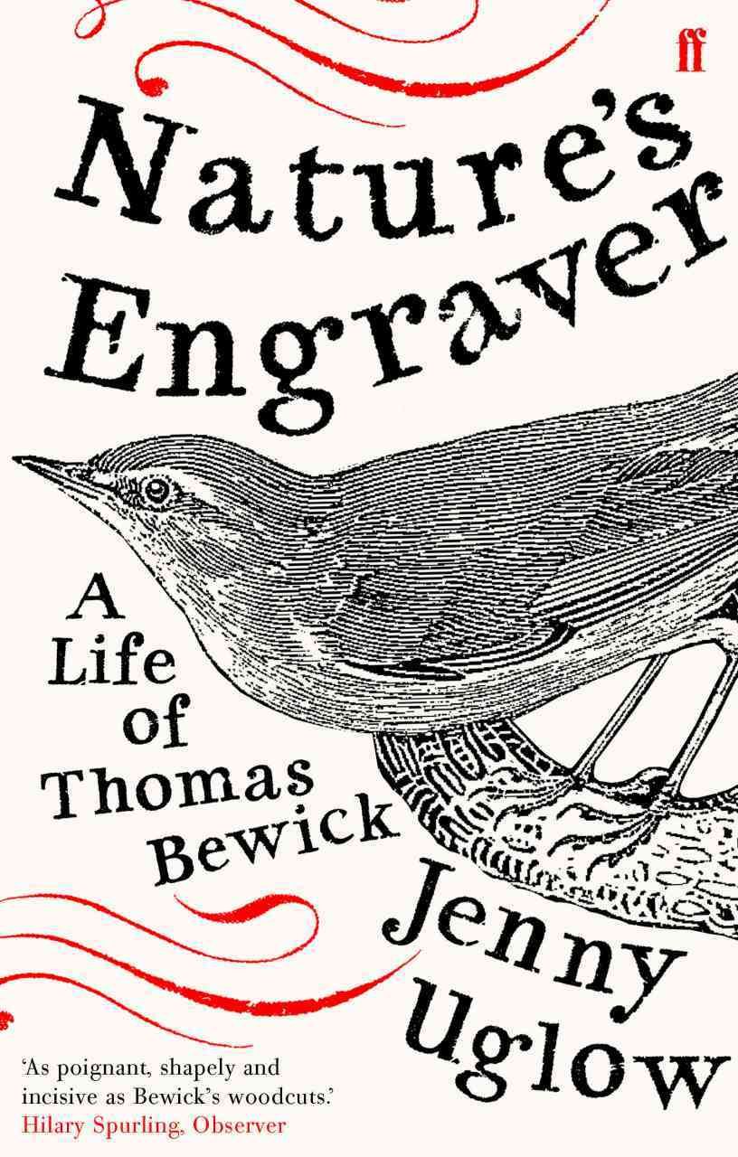 Nature's Engraver By Jenny Uglow 9780571223756 (Paperback)