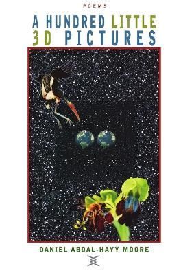Hundred Little 3D Pictures / Poetry By Moore 9780578125602 (Paperback)