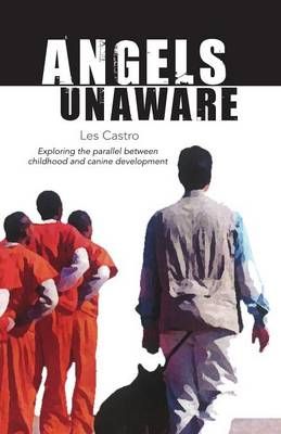 Angels Unaware By Castro, Les 9780578150420 (Paperback)