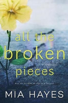 All The Broken Pieces By Hayes 9780578427133 (Paperback)