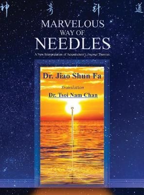 Marvelous Way of Needles 9780578500577 (Hardback)