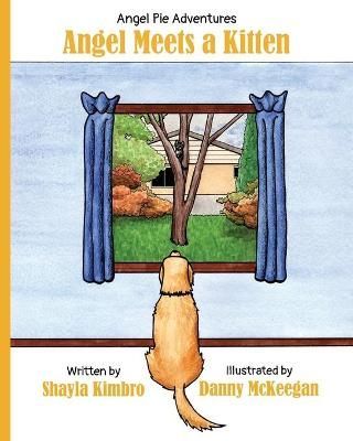 Angel Meets a Kitten By Kimbro 9780578731964 (Paperback)