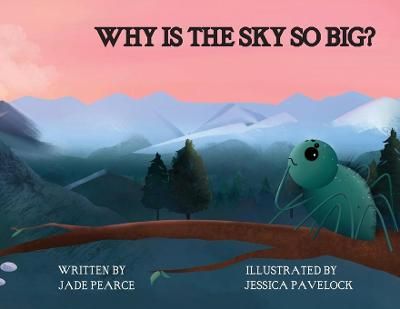 Why Is the Sky So Big? By Pearce 9780578811970 (Paperback)