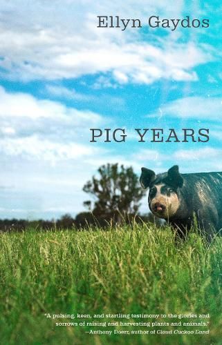 Pig Years By Ellyn Gaydos 9780593312612 (Paperback)