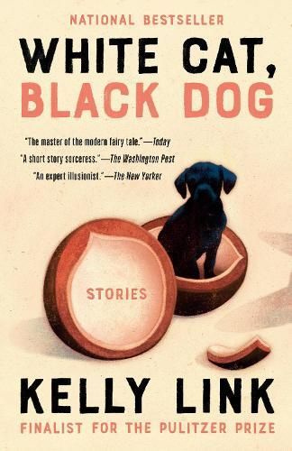 White Cat, Black Dog By Kelly Link (author), Shaun Tan (illustrator)