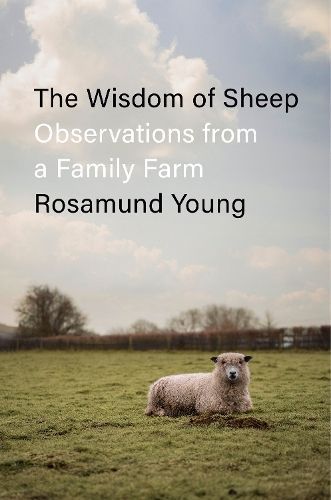 The Wisdom of Sheep By Rosamund Young 9780593656174 (Hardback)