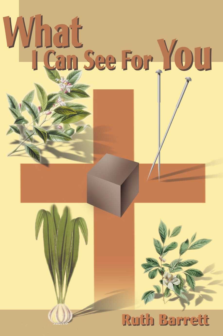 What I Can See for You! By Ruth Barrett 9780595131235 (Paperback)