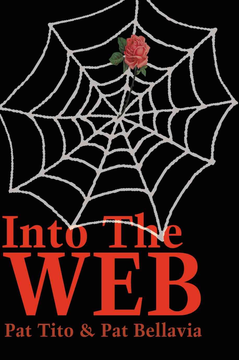 Into the Web By Pat Tito 9780595206520 (Paperback)