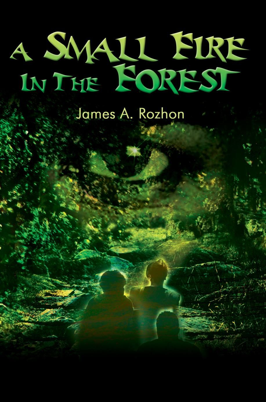 A Small Fire in the Forest By James Rozhon 9780595240999 (Paperback)
