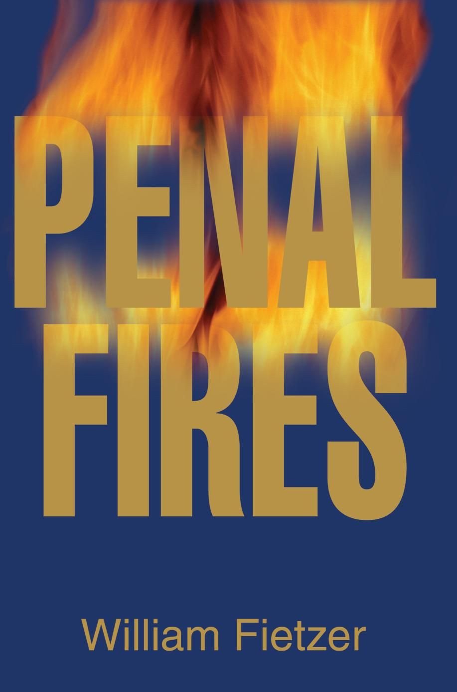 Penal Fires By William H Fietzer 9780595241101 (Paperback)