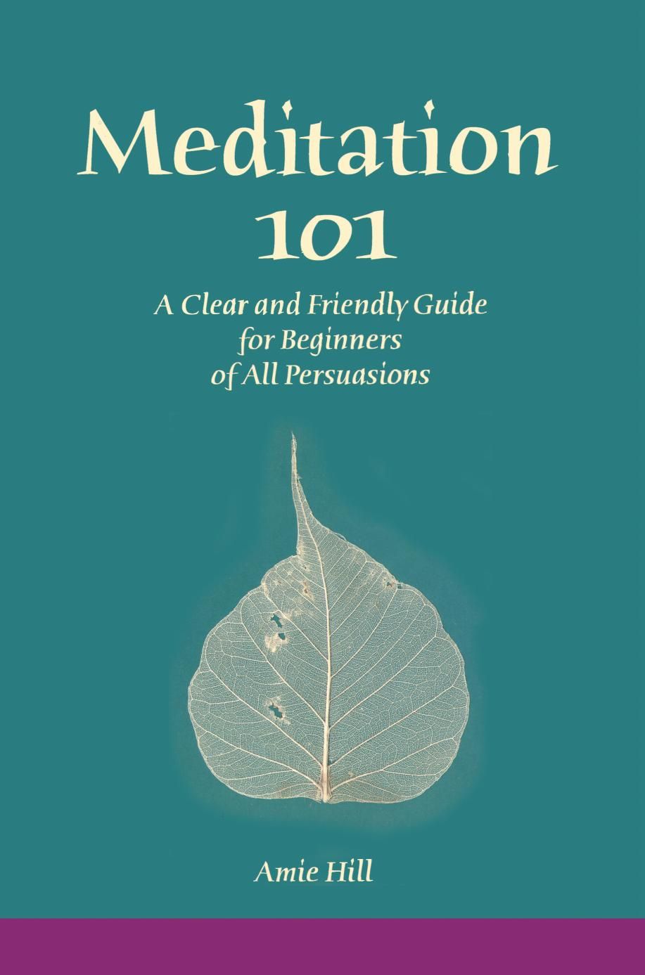 Meditation 101 By Amie Hill 9780595250349 (Paperback)