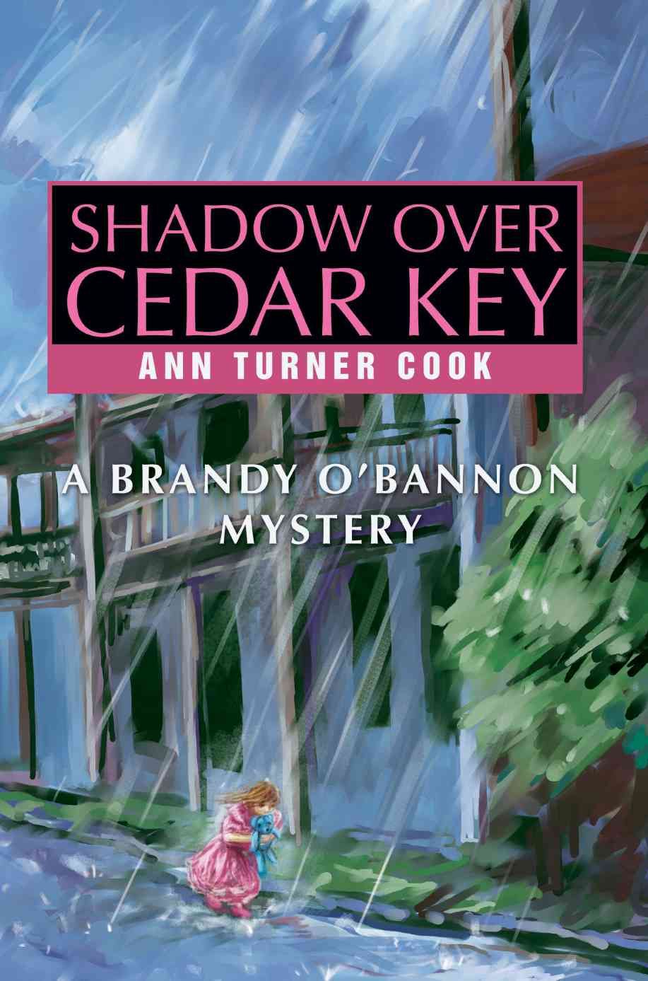 Shadow Over Cedar Key By Ann Turner Cook 9780595278435 (Paperback)