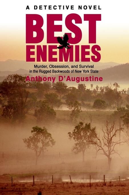 Best Enemies By Anthony D'Augustine 9780595278626 (Paperback)