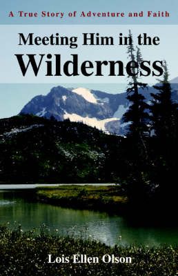 Meeting Him in the Wilderness By Lois E Olson 9780595318346