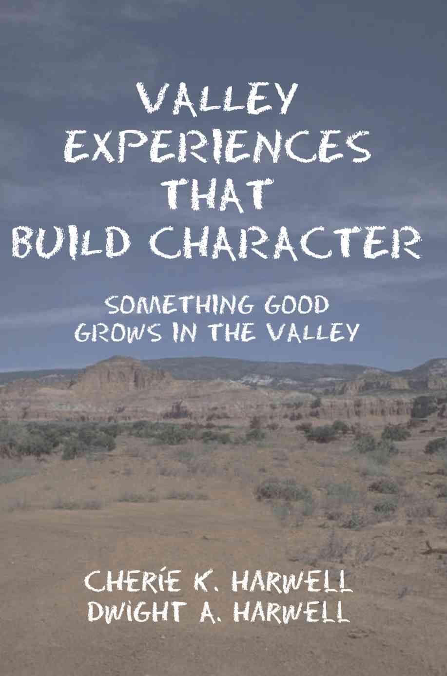Valley Experiences That Build Character By Cherie K Harwell