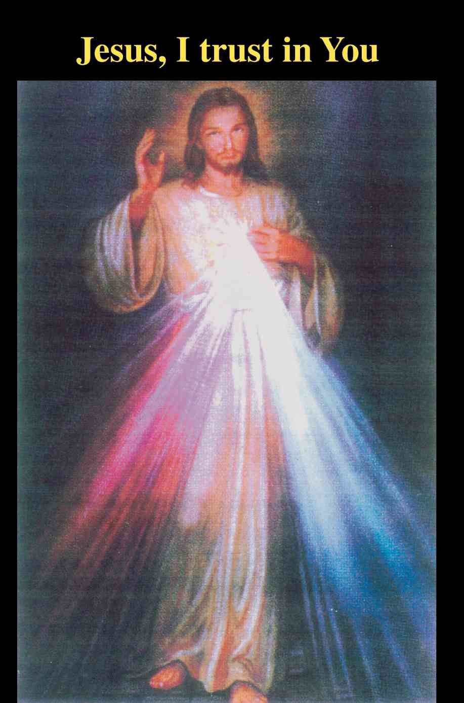 Jesus, I trust in You By Qui, Domo 9780595436583 (Paperback)