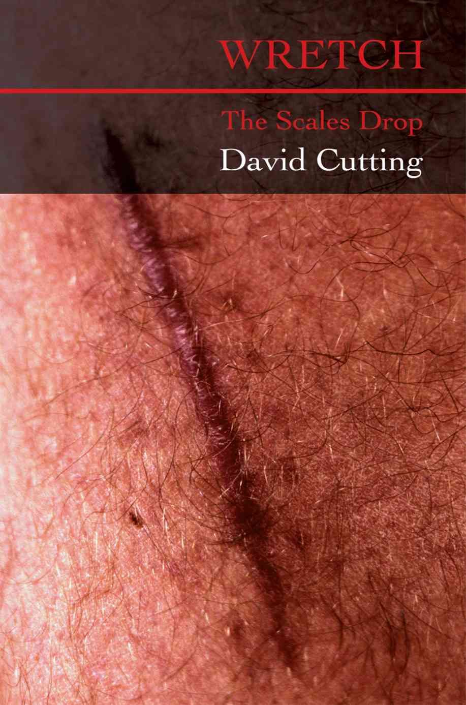 Wretch By David Cutting 9780595460182 (Paperback)