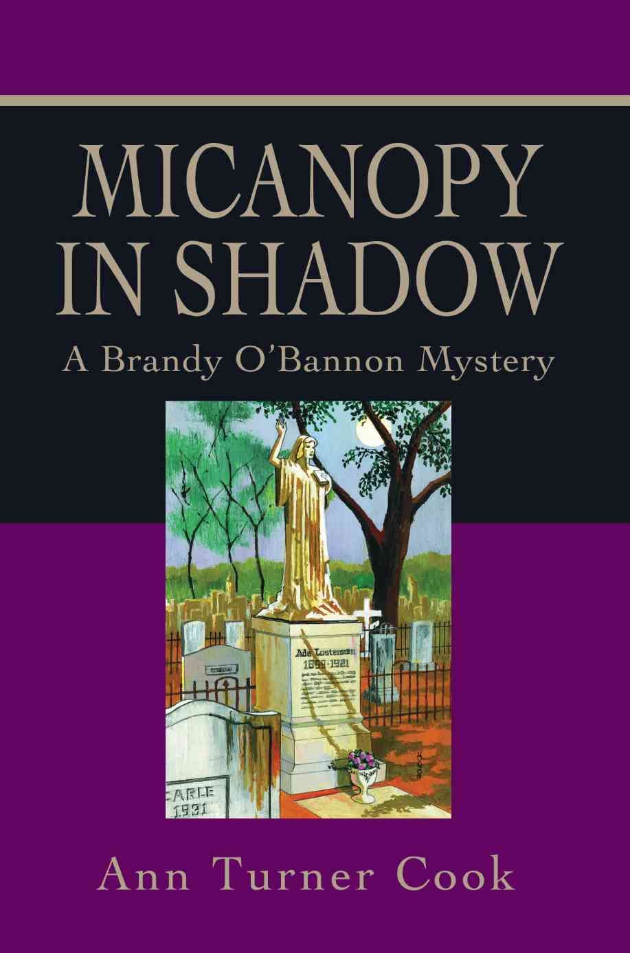 Micanopy in Shadow By Ann Turner Cook 9780595463015 (Paperback)