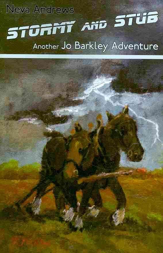 Stormy and Stub By Neva Andrews 9780595528547 (Paperback)