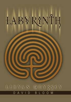 Labyrinth By David (Harvard University USA) Bloom 9780595826070