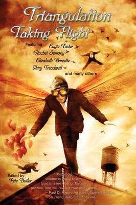 Triangulation: Taking Flight By Pete Butler (editor) 9780615235400