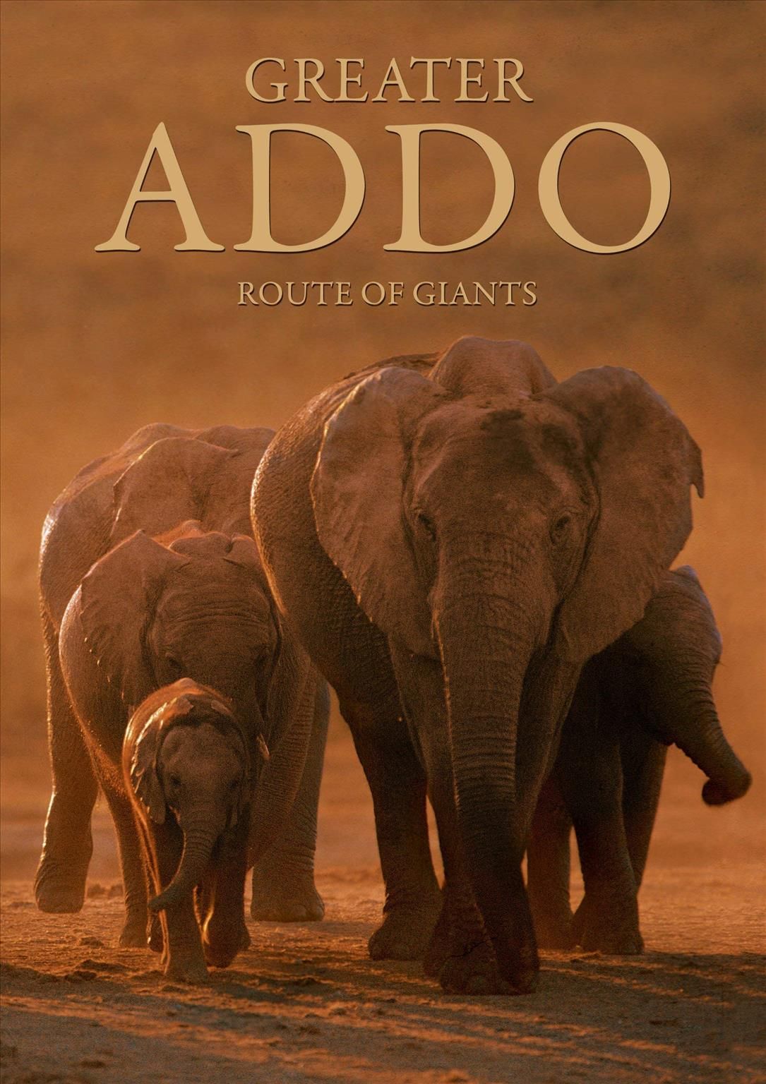 Greater Addo By Heinrich Van Den Berg 9780620299350 (Paperback)