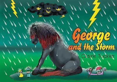 George and the Storm By Claire Tucker 9780620871921 (Paperback)