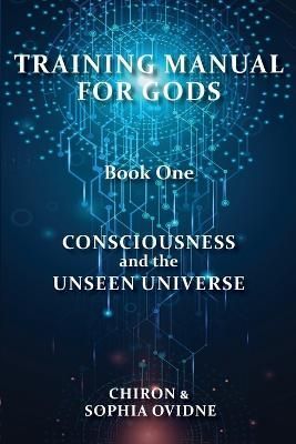 Training Manual for Gods, Book One By Chiron 9780645739602 (Paperback)