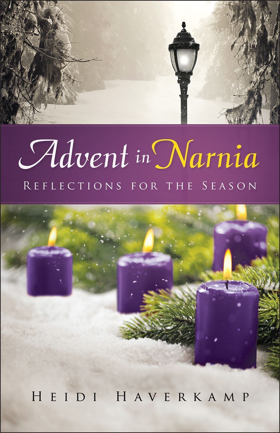 Advent in Narnia By Heidi Haverkamp 9780664261795 (Paperback)