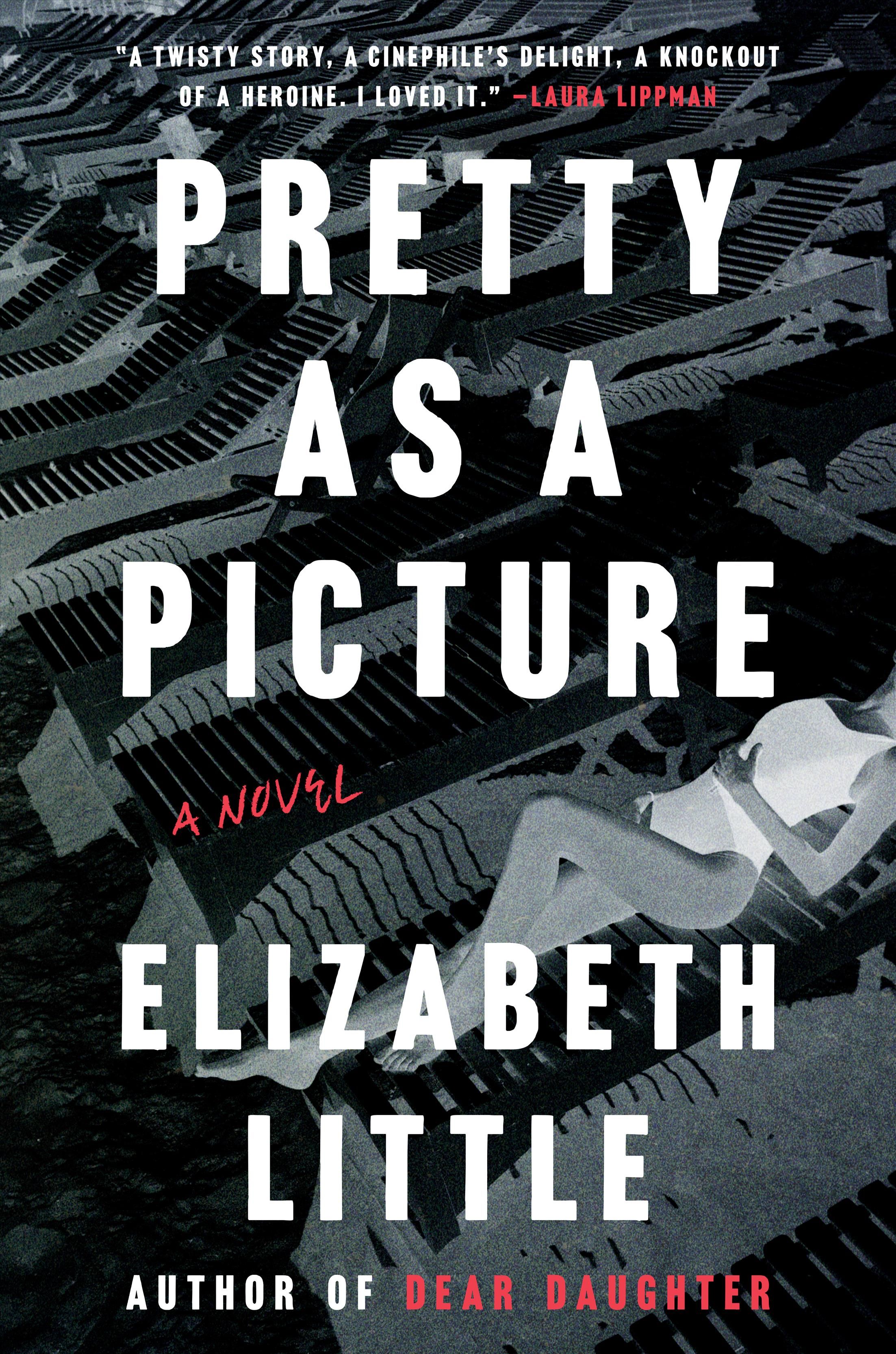 Pretty as a Picture By Elizabeth Little 9780670016396 (Hardback)