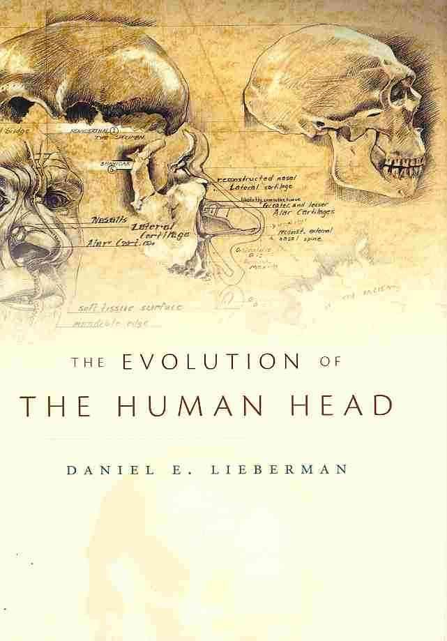 The Evolution of the Human Head By Daniel Lieberman 9780674046368