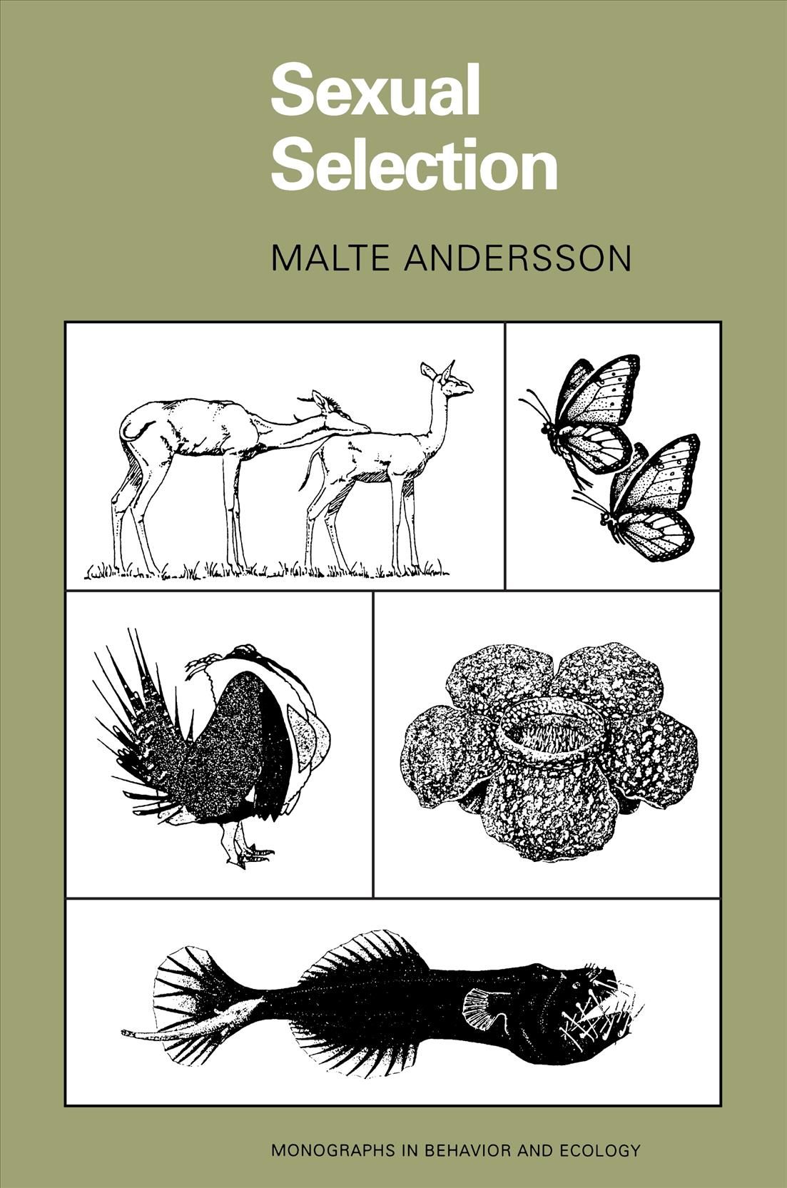 Sexual Selection By Malte Andersson 9780691000572 (Paperback)