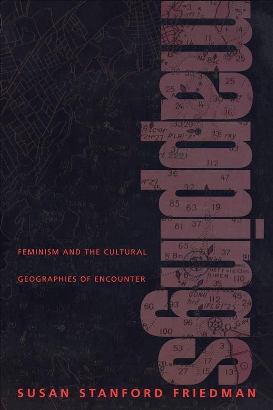 Mappings By Susan Stanford Friedman 9780691058047 (Paperback)