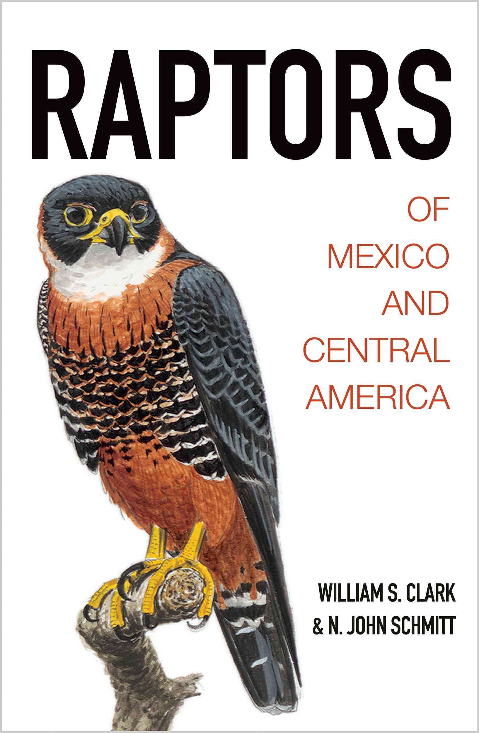 Raptors of Mexico and Central America 9780691116495 (Hardback)