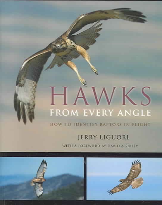 Hawks from Every Angle ? How to Identify Raptors In Flight (Paperback)