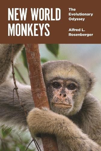 New World Monkeys By Alfred L. Rosenberger 9780691143644 (Hardback)