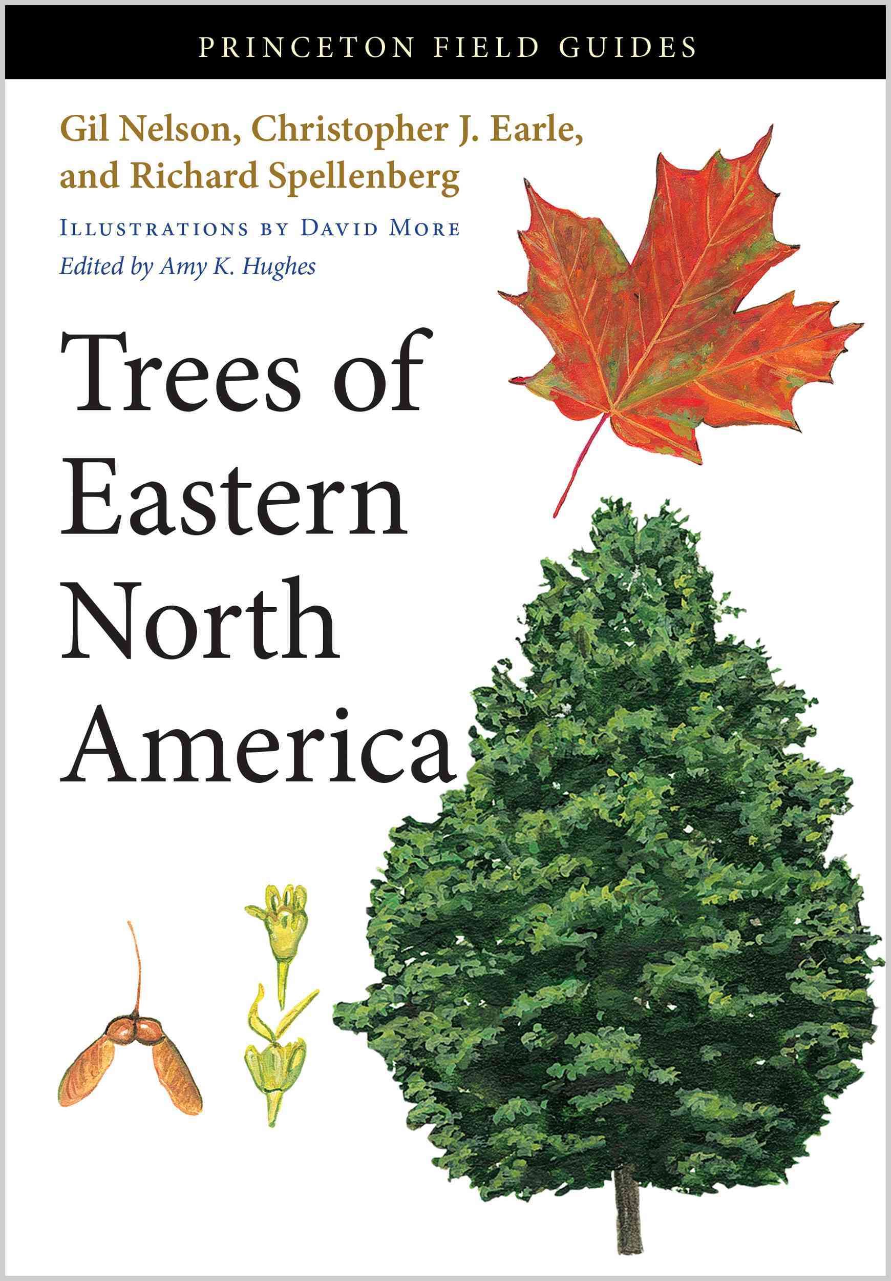 Trees of Eastern North America 9780691145914 (Paperback)