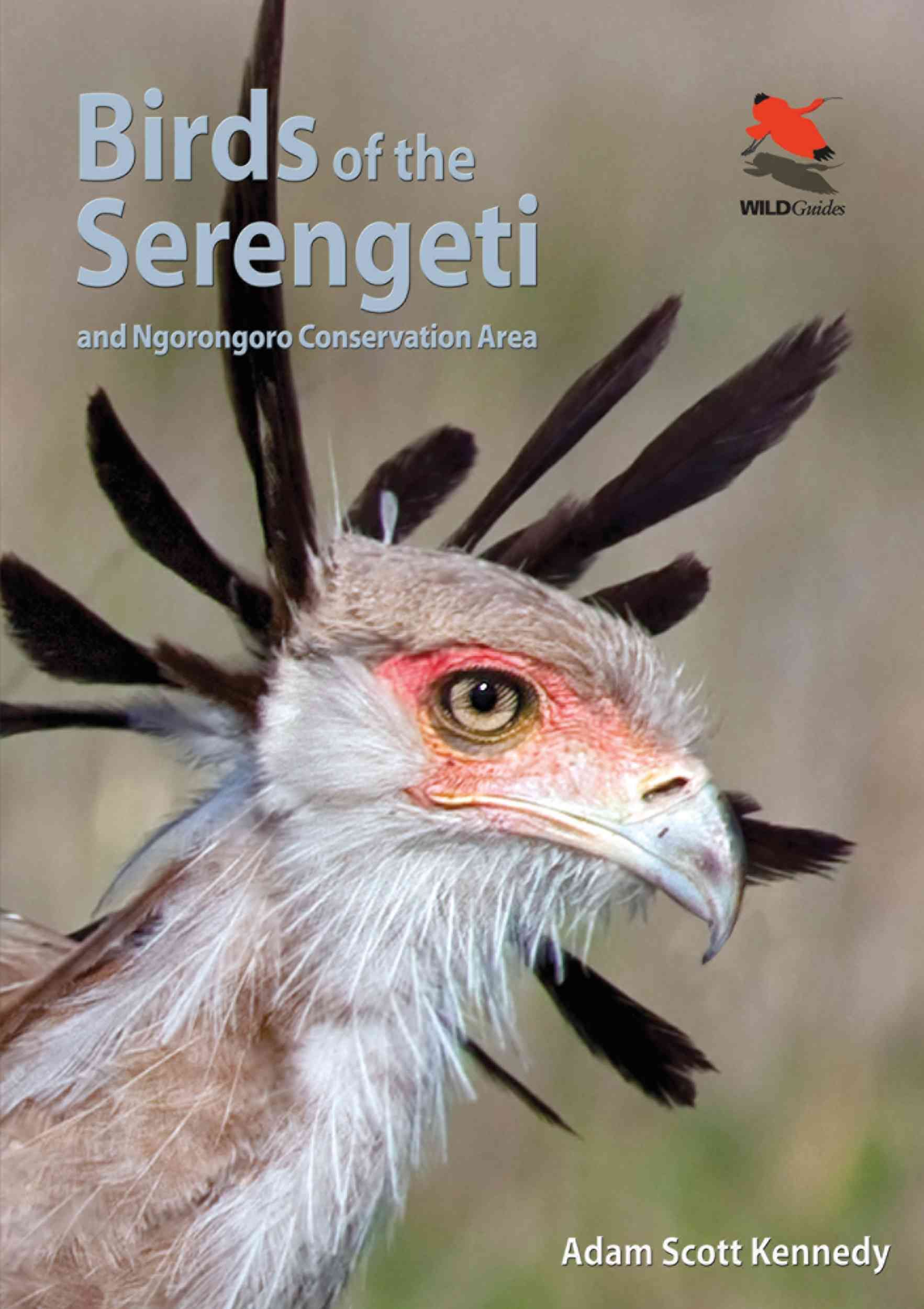Birds of the Serengeti By Adam Scott Kennedy 9780691159102 (Paperback)