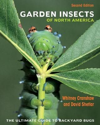 Garden Insects of North America By Whitney Cranshaw, David J. Shetlar